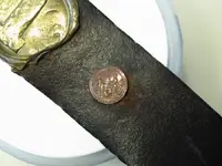 Belt_Buckle_Pin (4).webp