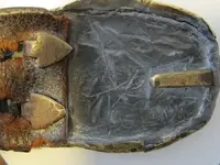 Belt_Buckle_Pin (8).webp