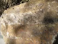 Yard Rock 1.1.webp