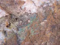 Yard Rock 1.2.webp