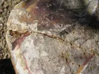 Yard Rock 2.webp