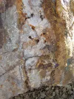 Yard Rock 3.1.webp