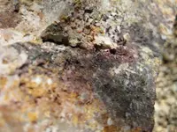 Yard Rock 3.webp