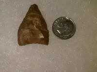 arrowhead4.webp