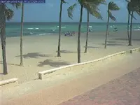 netcam.webp