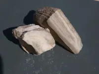 white rock raw 2.webp