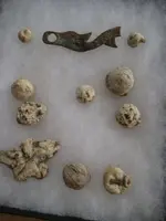 bcrfinds.webp