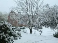 SnowTober1.webp