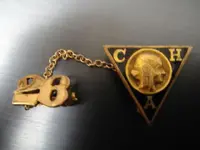 PIN.webp