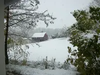 003.webp