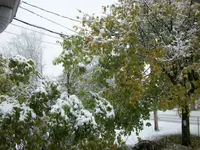 005.webp
