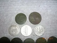 DSCN5043.webp