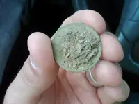 Dodd Hatter Token Reverse Dirty.webp