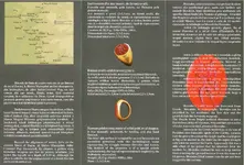 pliant muzeu 2 (1450 x 987).webp