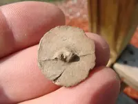 cs button back.webp