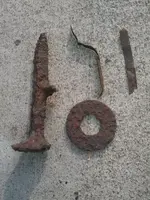 IMAG1259.webp