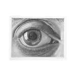 Eyeball Illustration.webp