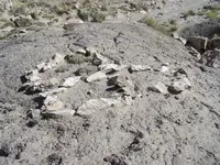 100_7727.webp