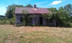 IMAG0029.webp