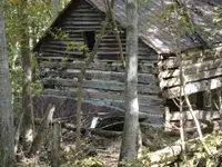 old homestead2.webp