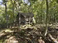 old homestead.webp