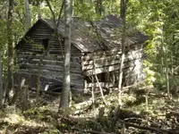 old homestead 3.webp