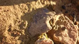 phpt7ZOhhPM.webp