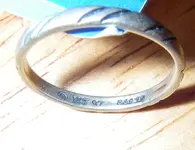 IMGP0011.webp