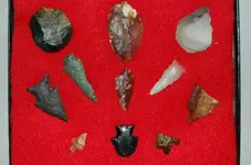 Idaho (2).webp