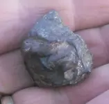 DSCF0117.webp