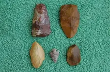 Kansas Pieces.webp
