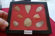Minnesota (5).webp