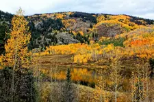 10-5c.webp
