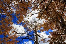 10-5l.webp
