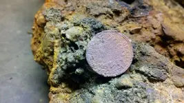 3-Indian Head Penny from purse.webp