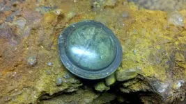 5-Mourning pin upon removal.webp
