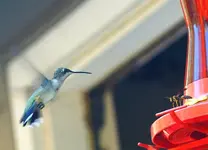 DSC05809.webp