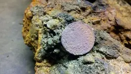 3-Indian Head Penny from purse.webp