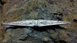 15-Victorian  Era pin.webp