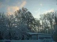 Picture 039.webp