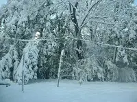Picture 044.webp