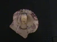 14k gold ring oct. 6th 2011 002.webp