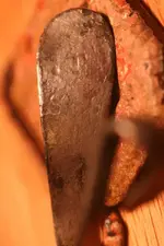 NH FINDS 09-24 008.webp