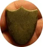 Saddle Shield.webp