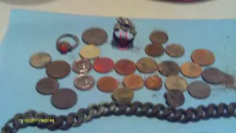 IMAG0205.webp