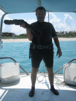 one.gif