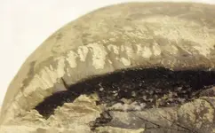 rock33.webp