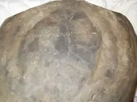 rock44.webp