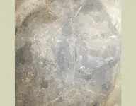 rock55.webp