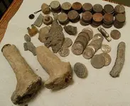oct_17_parking lot finds.webp